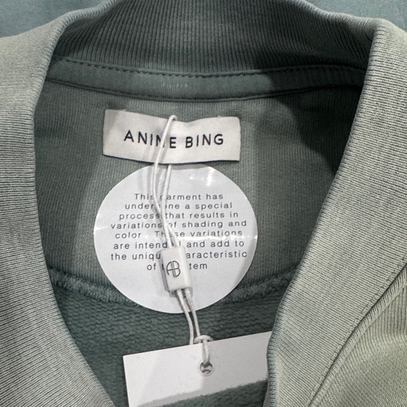 NWT Anine Bing Sage Green New York Crewneck - Picture 6 of 6